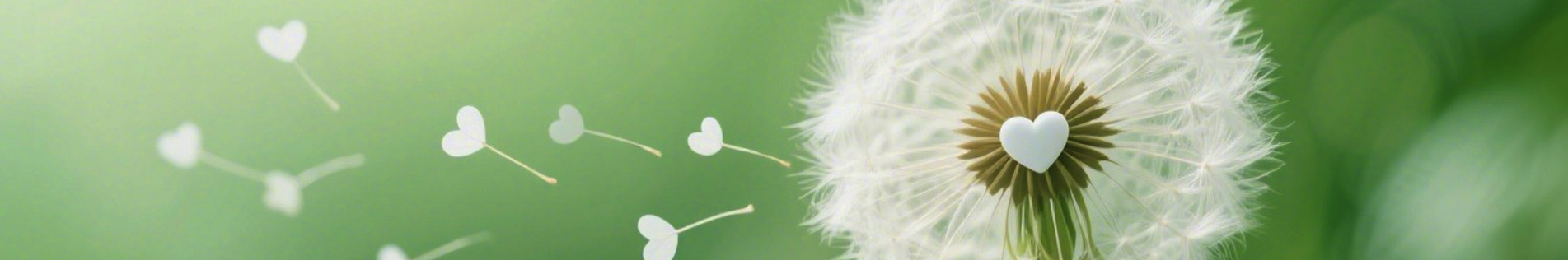 發展規劃 > 發展目標