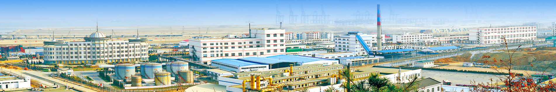 聯系我們 > 聯系方式